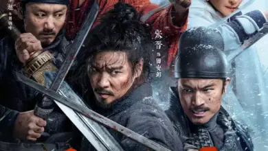 The Wild Blade of Strangers (2024) [Chinese] |